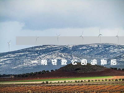 一般贷款公司逾期后 利息 一般贷款公司逾期后 利息